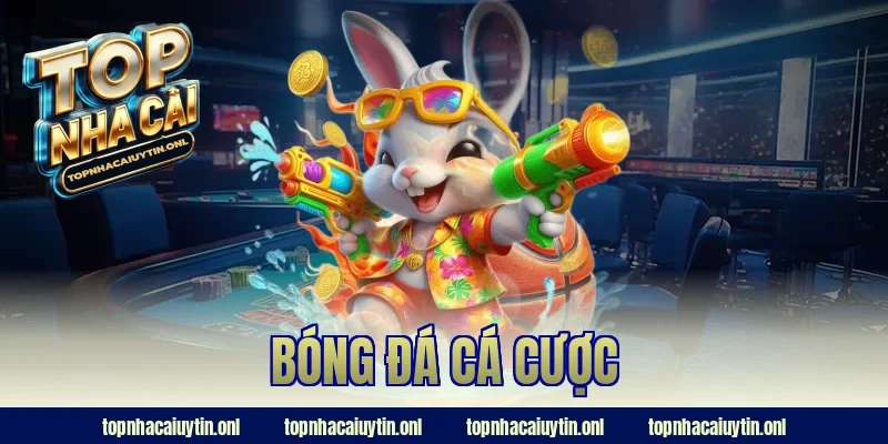 bóng đá cá cược