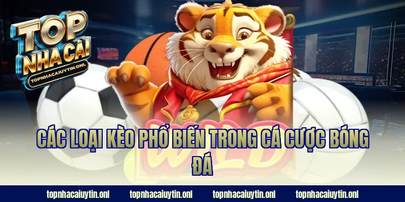 Các loại kèo phổ biến trong cá cược bóng đá