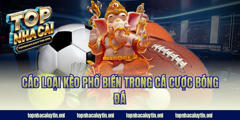 Các loại kèo phổ biến trong cá cược bóng đá