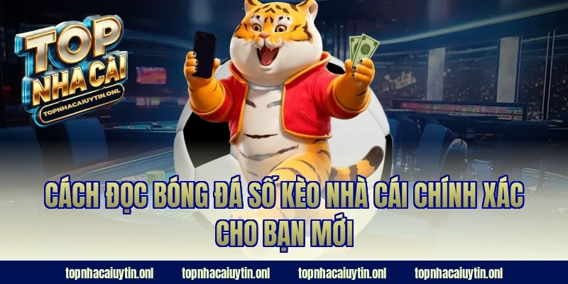 Cách đọc bóng đá số kèo nhà cái chính xác cho bạn mới