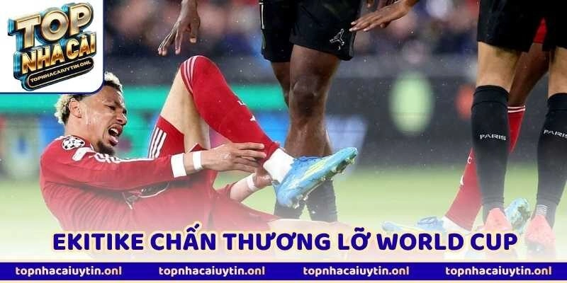 Ekitike Chấn Thương Lỡ World Cup – Chuyển Nhượng Rung Lắc