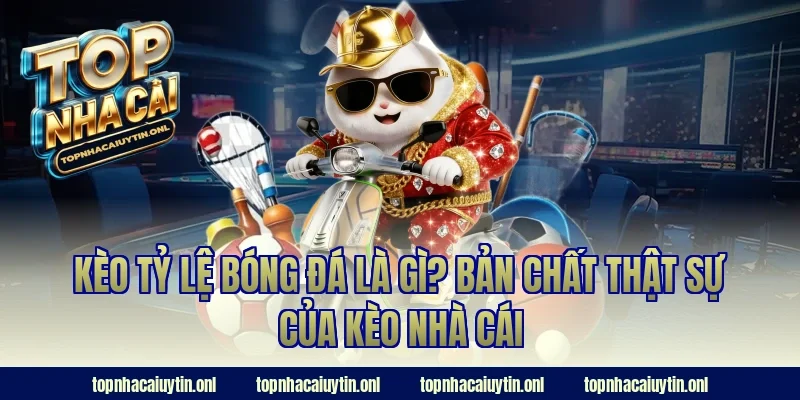 Kèo tỷ lệ bóng đá là gì? Bản chất thật sự của kèo nhà cái