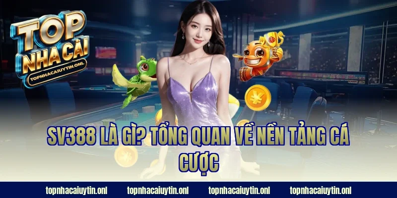 SV388 là gì? Tổng quan về nền tảng cá cược