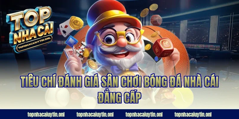 Tiêu chí đánh giá sân chơi bóng đá nhà cái đẳng cấp