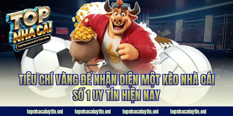 Tiêu chí vàng để nhận diện một kèo nhà cái số 1 uy tín hiện nay