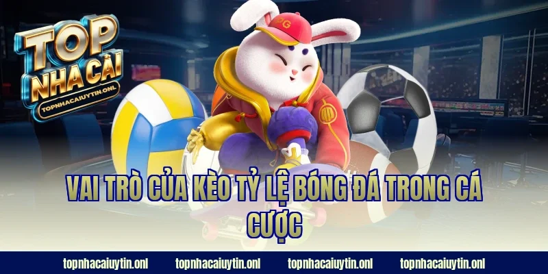 Vai trò của kèo tỷ lệ bóng đá trong cá cược