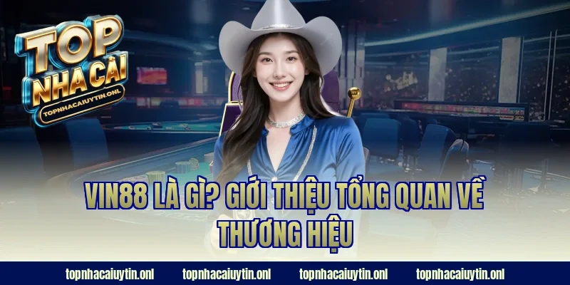 Vin88 là gì? Giới thiệu tổng quan về thương hiệu